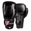 Youth Combat Series Boxing Gloves Photo 4
