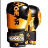 Pinnacle Boxing Gloves Photo 2